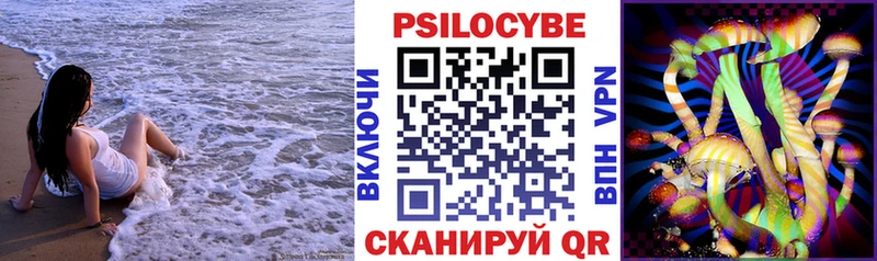 shop клад  Сухой Лог  Псилоцибиновые грибы Cubensis  закладки  MEGA ТОР 