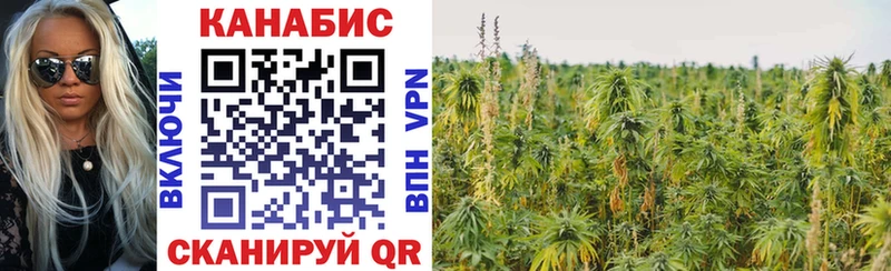 Конопля конопля  продажа наркотиков  Сухой Лог 